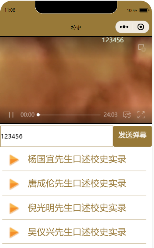 image-20250902110847049